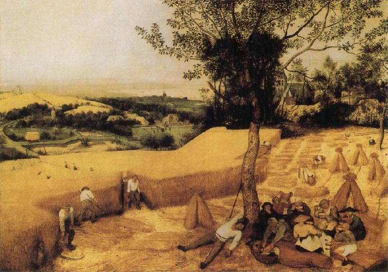 BRUEGHEL, Pieter the Younger The Corn Harvest France oil painting art